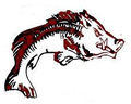 Hawghunter striper Guide logo